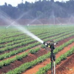 Irrigation