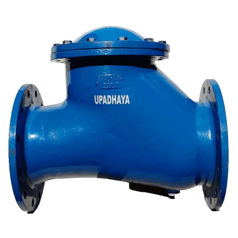 Ball Type Non Return Valve